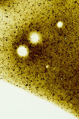 Greens Shot - 30 Pack