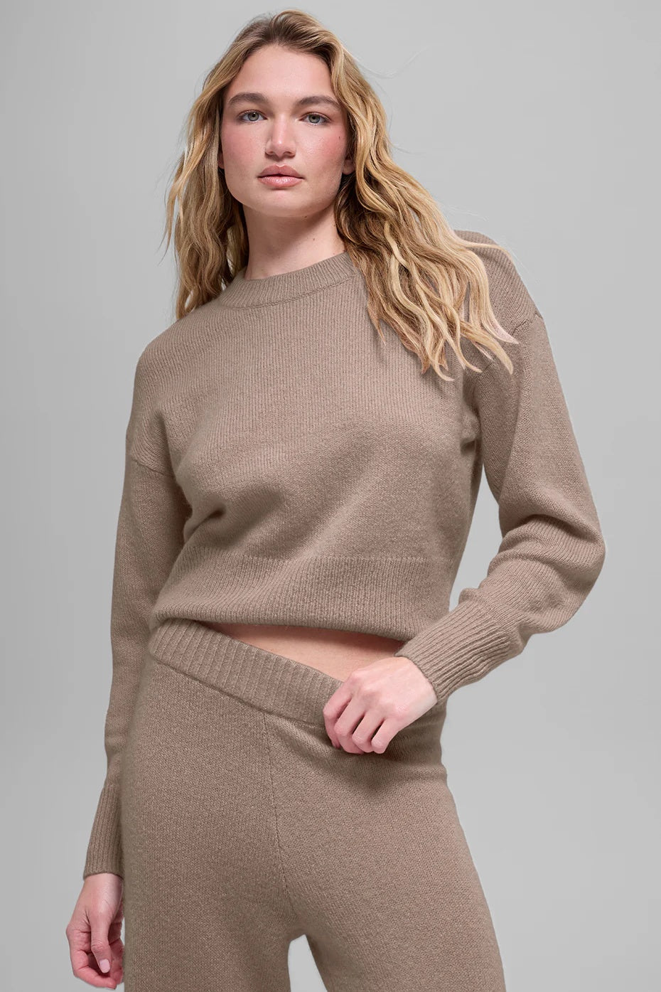 Wool Cashmere Cropped New Class Crewneck Sweater - Chai Latte