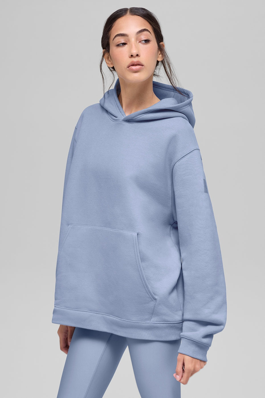Renown Heavy Weight Hoodie - Winter Frost