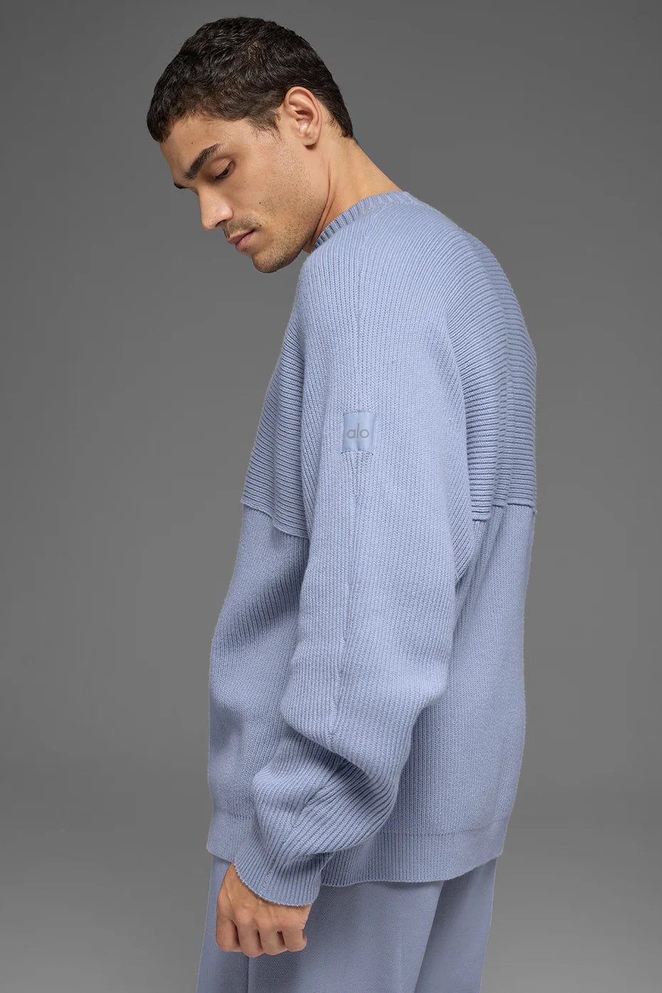 Domain Shift Rib Knit Sweater Crew - Winter Frost