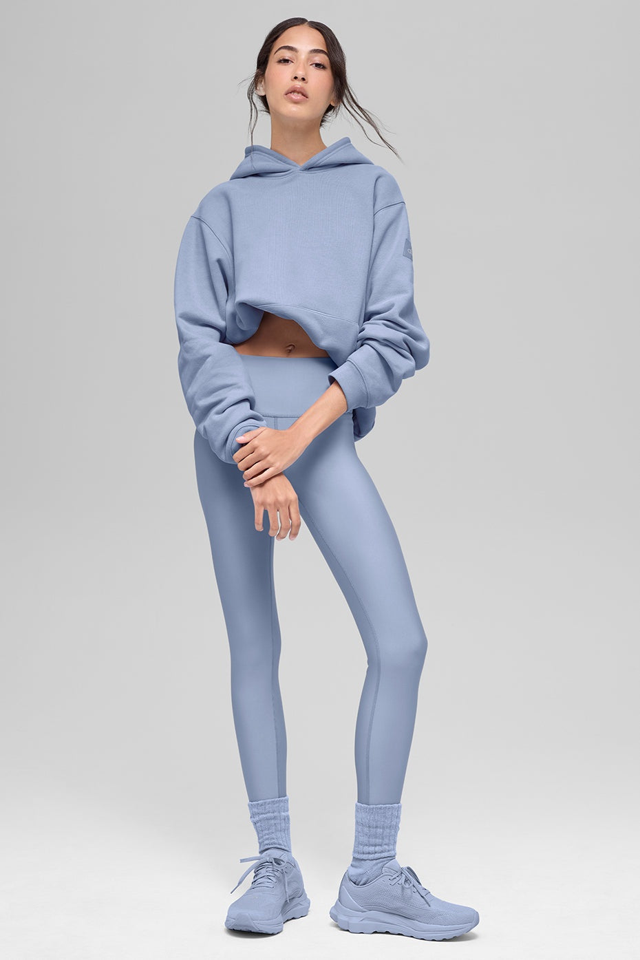 Renown Heavy Weight Hoodie - Winter Frost