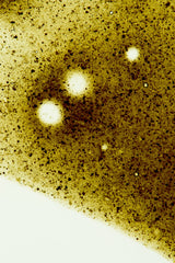 Greens Shot - 10 Pack