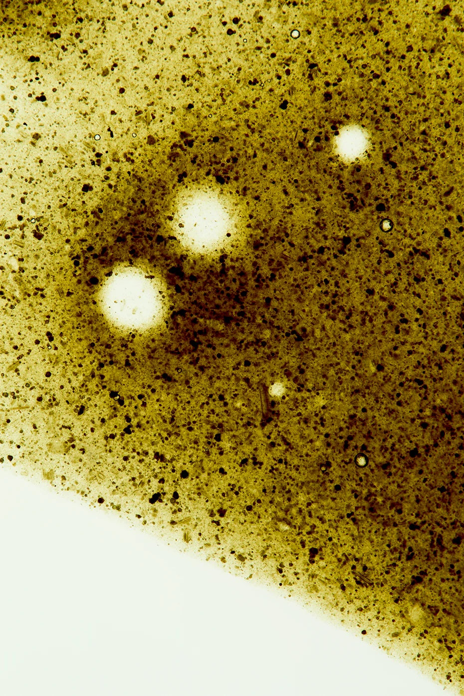 Greens Shot - 30 Pack